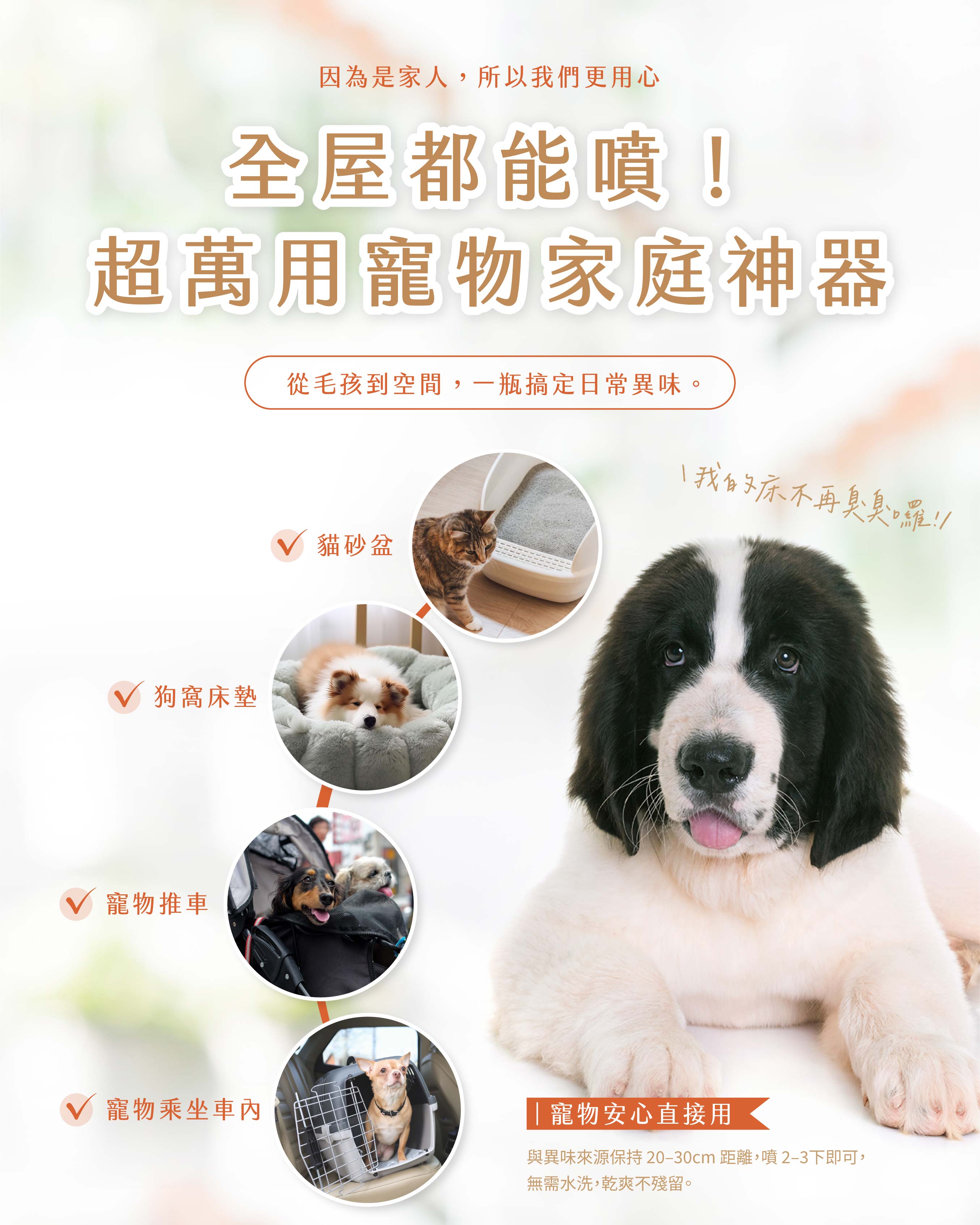 兔子除臭